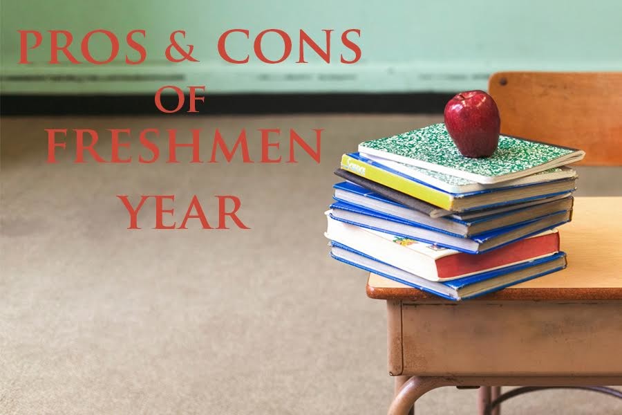 Pros and Cons of Freshman Year