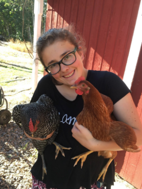 Taylor Dingman, a student at GHHS with her beloved chickens. Photo obtained from Taylor Dingman.