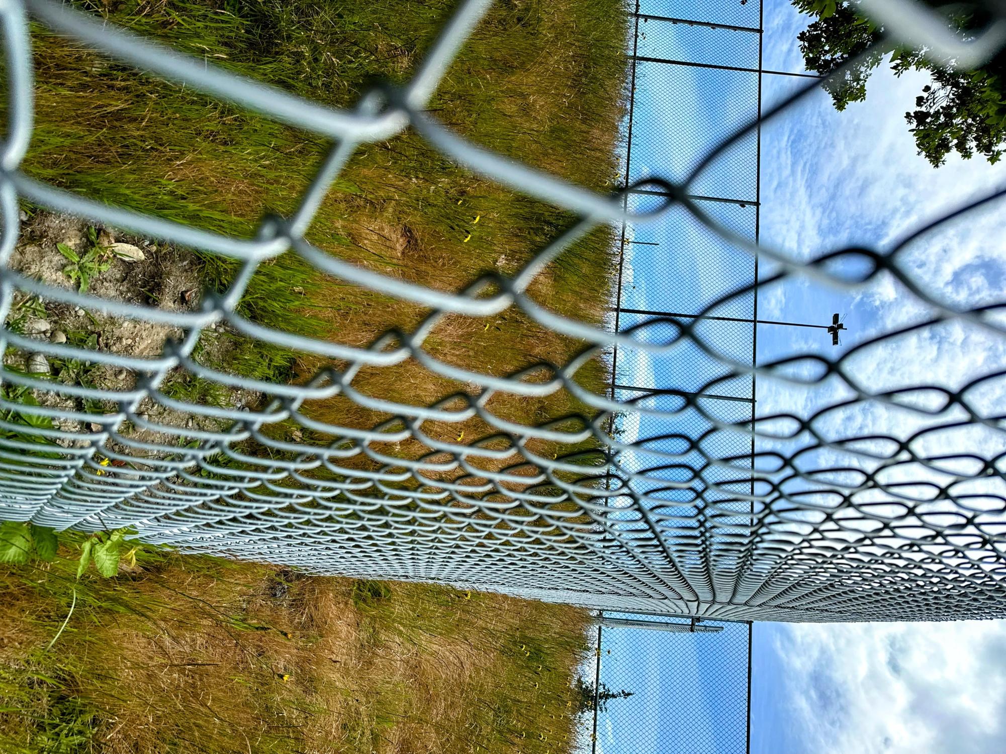 The Fence.